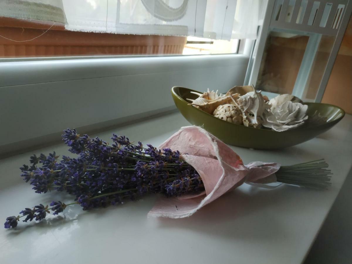 Cseresznyes Haz Lipót 외부 사진